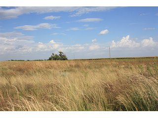 Property photo 20 - LAND AUCTION, 3255+/- Acres offered in 13 Tracts